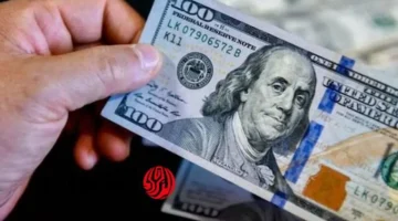 سعر الصرف المستقر.. تداولات الدولار أمام الجنيه المصري خلال تعاملات 10 يناير 2026